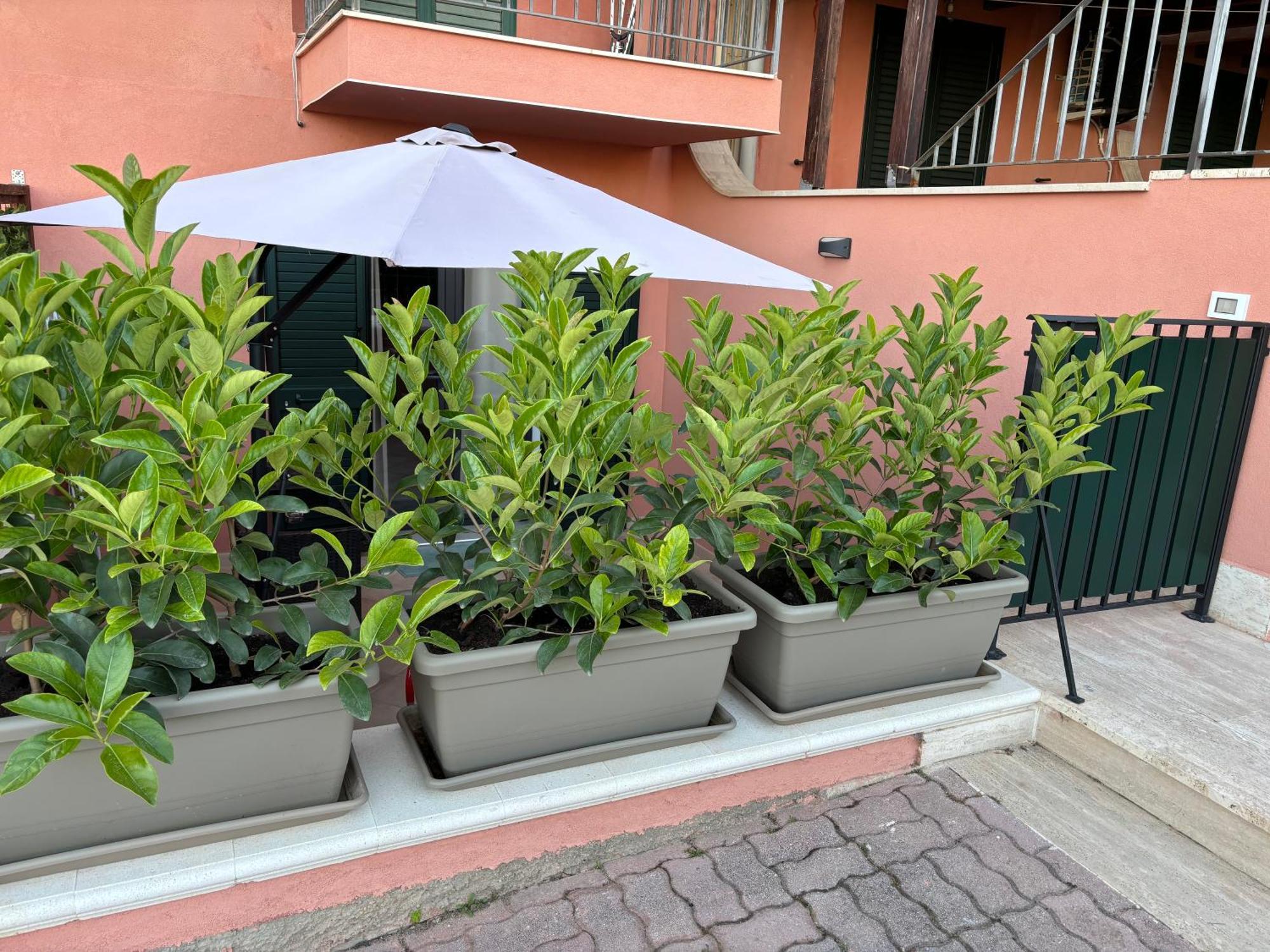 Casa Vacanza Scala Dei Turchi Realmonte Zewnętrze zdjęcie